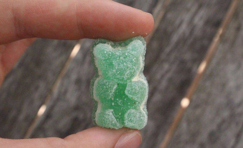 cbd bonbon ours